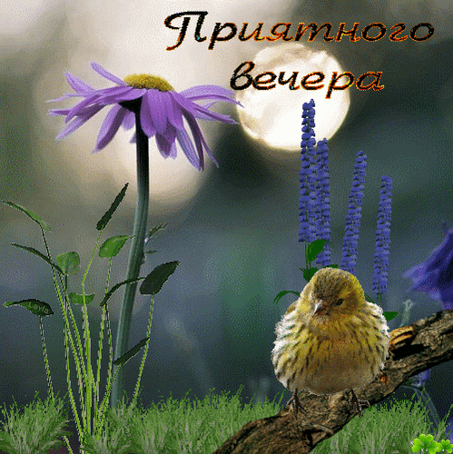 Источник: Яндекс картинки