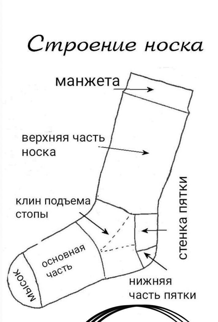 Подошва 8 букв. Составные части носка. Части носка названия. Названия частей носков. Носок составные части.