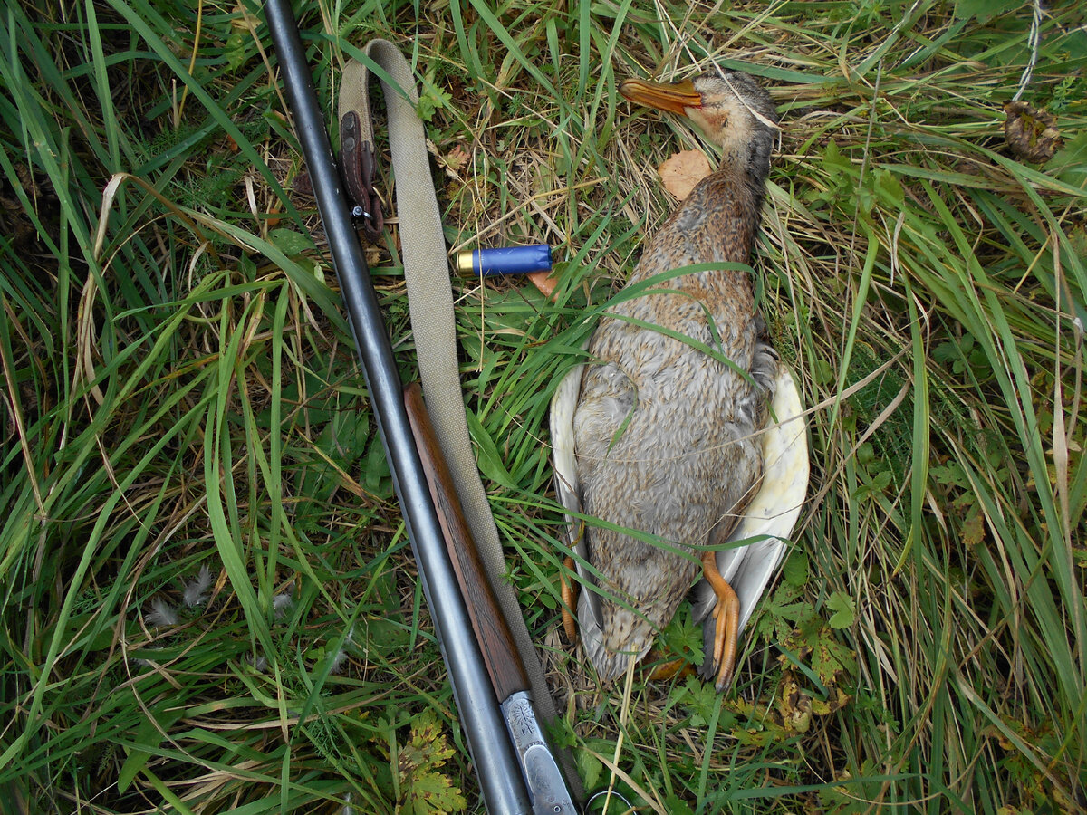 Фото автора.