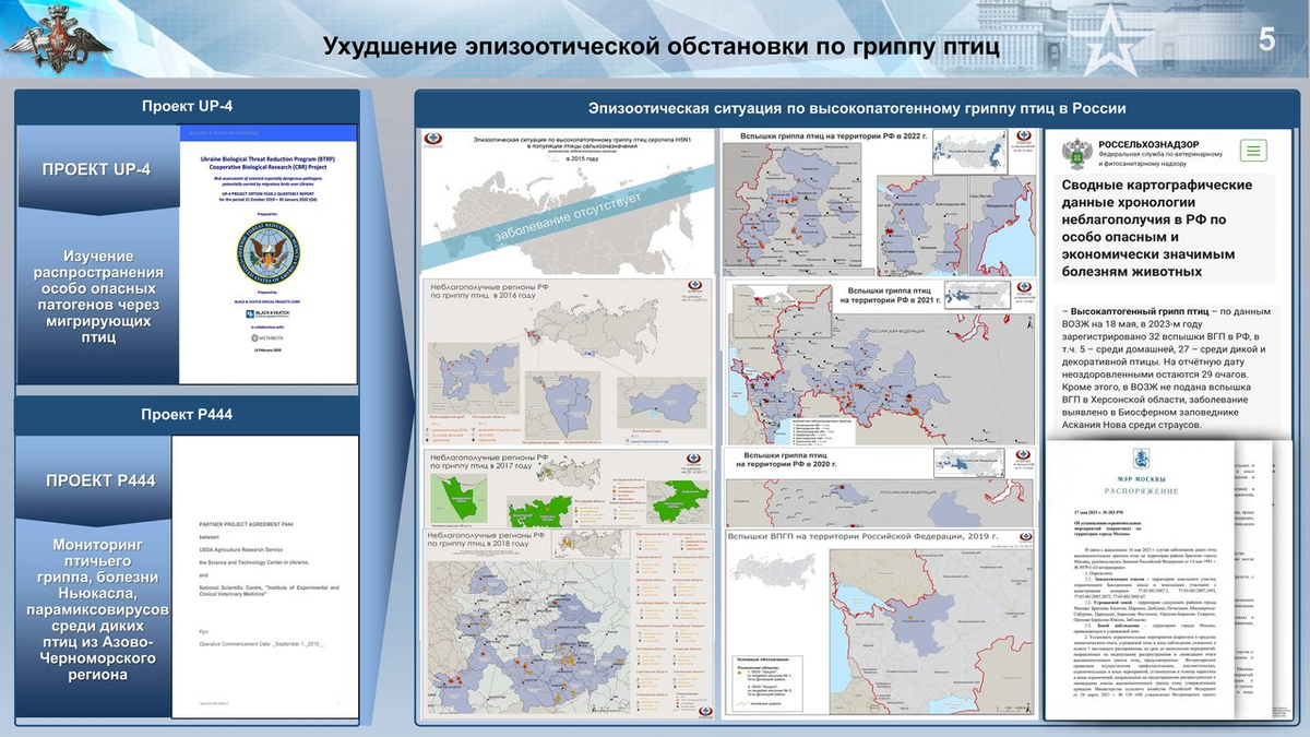 Деятельность по поиску и сбору средств на осуществление проектов и программ