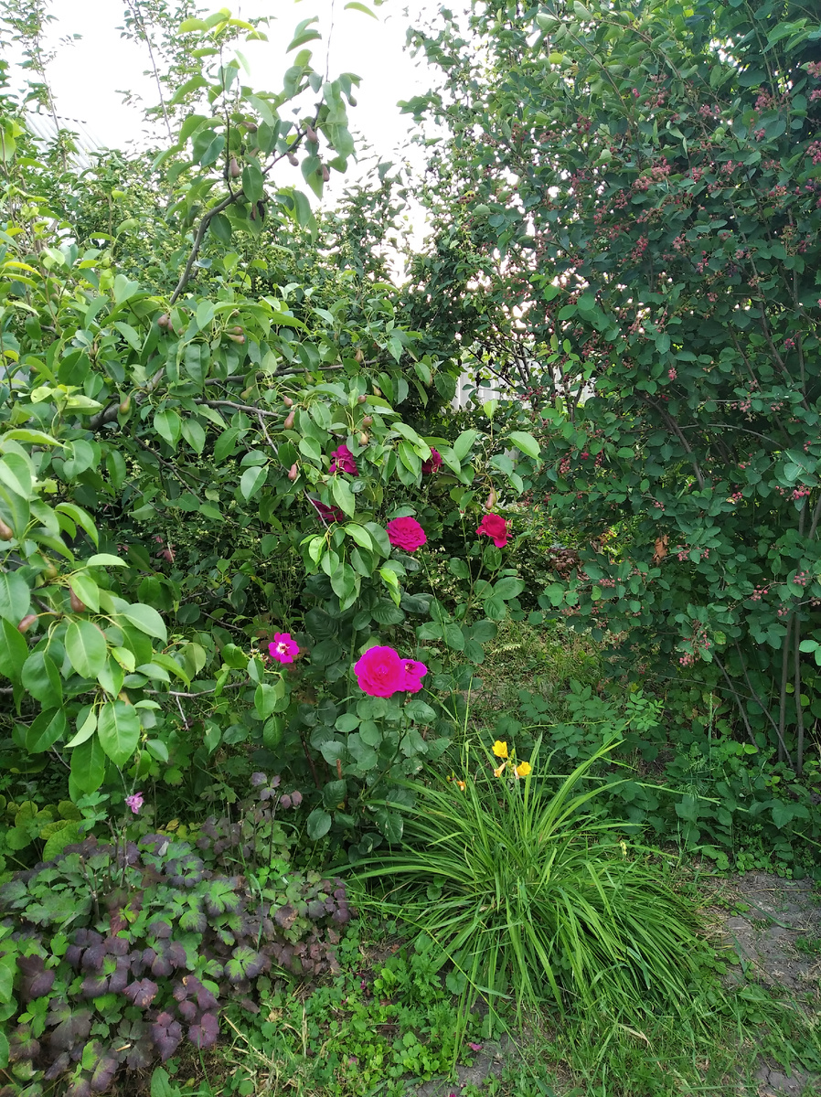 Очень красивый забор, правда? 