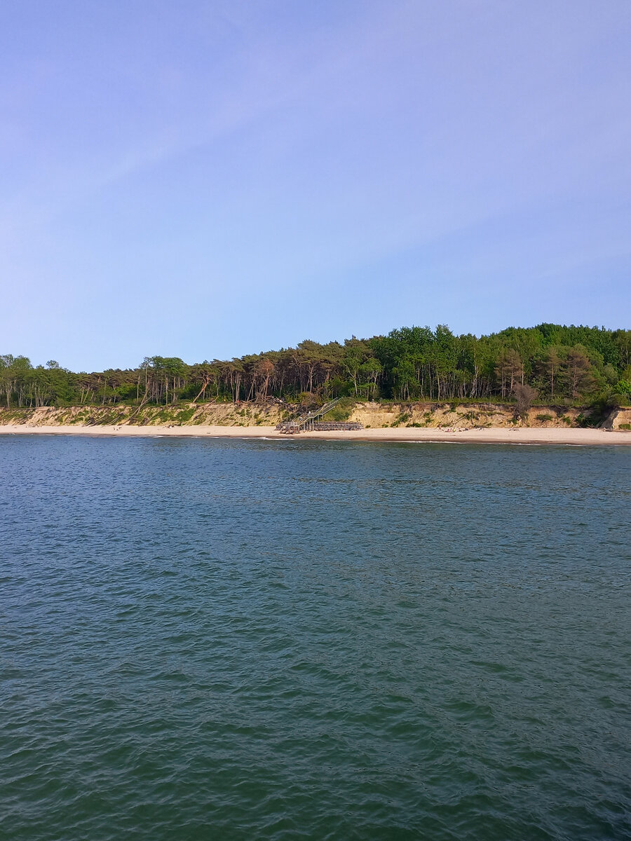 Съездил в город-курорт Пионерский из Калининграда: Балтийское море, сосновый  бор, широкий пляж и длинный променад. | Фигаро здесь, Фигаро там | Дзен