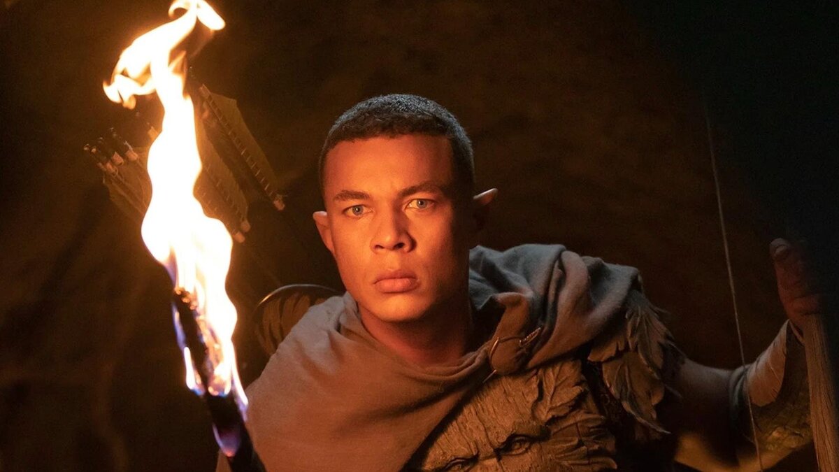 также подвергнутое критике явление чернокожего эльфа в сериале по Властелину Колец