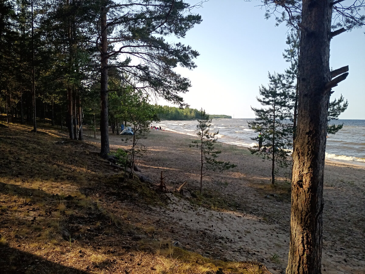 Живописный берег Ладоги, вдали виден мыс Морьин Нос.