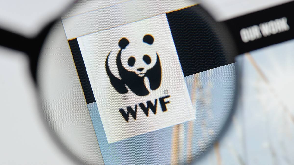 Wwf всемирный фонд дикой природы презентация