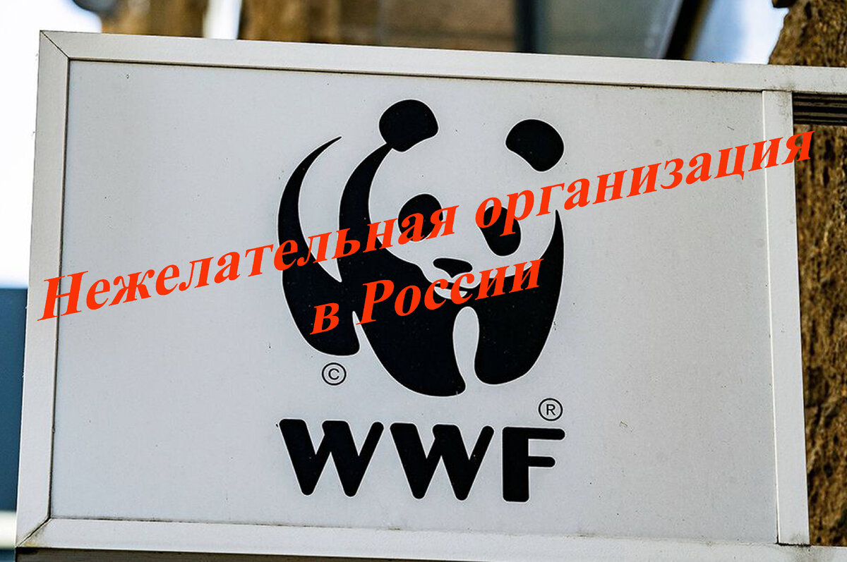 Госпрокуратура план проверок на 2023 год