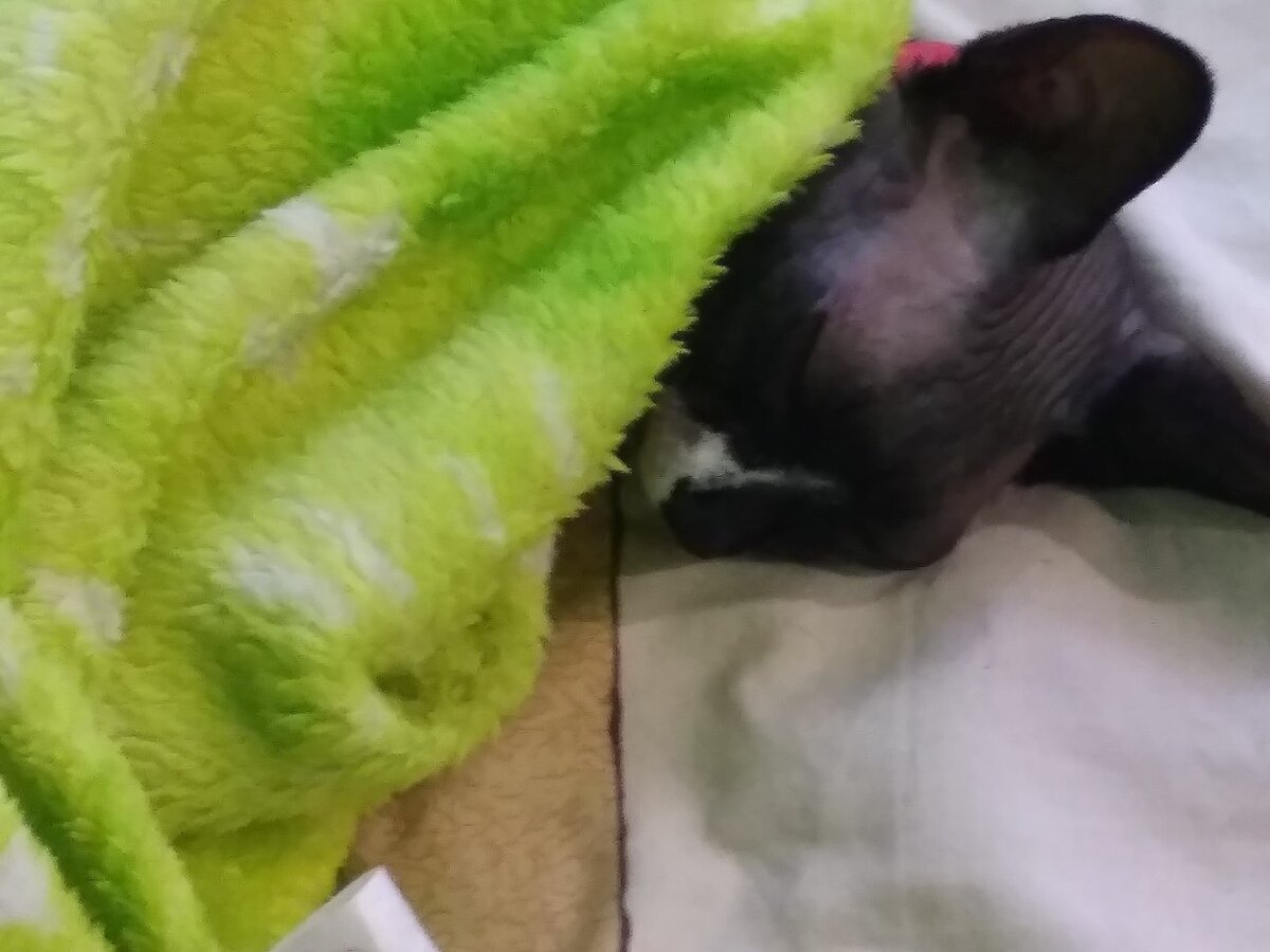 Из семейного архива