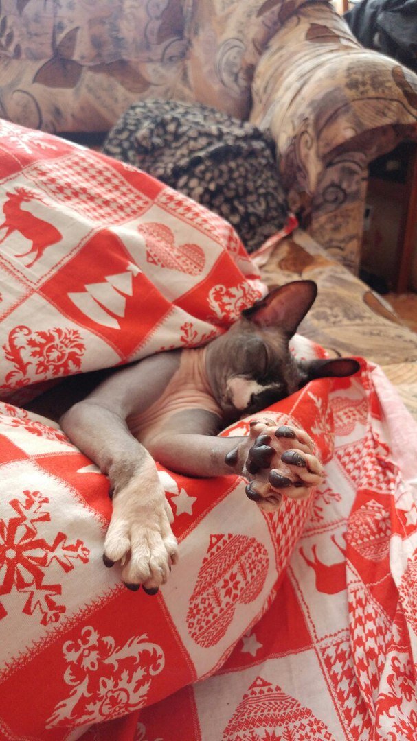 Из семейного архива