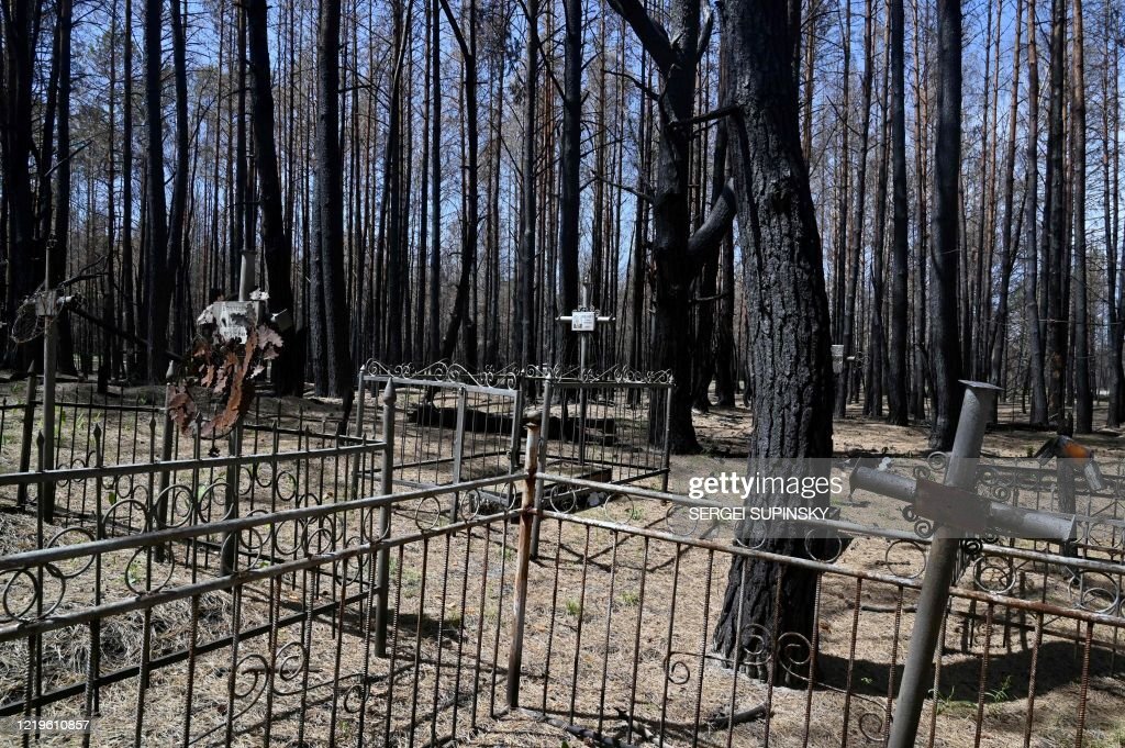 старое кладбище изобильный. кутлинка кладбище. алтуфьевское кладбище москва. крест в поле. воробьевское кладбище ставрополь.