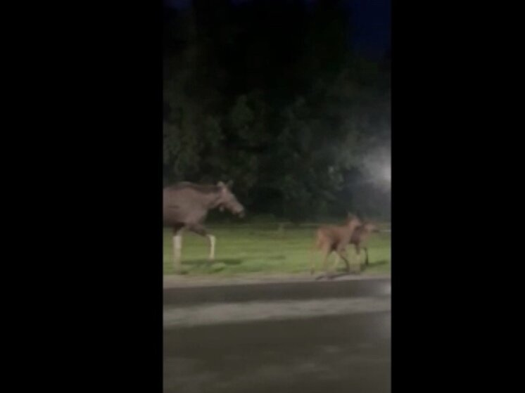 ФОТО: СОЦСЕТИ 