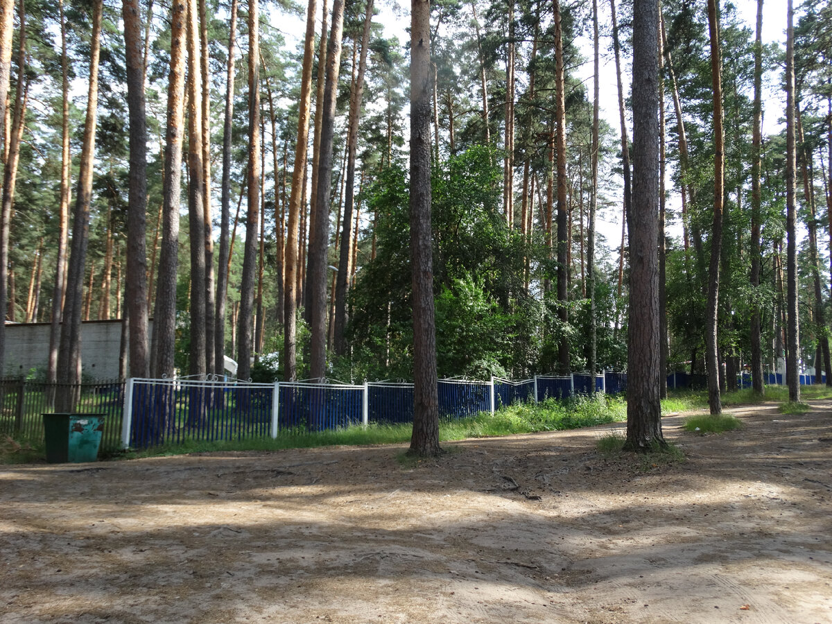 Ворота с надписью фотографировать не побежала) Вот если будем там отдыхать - то непременно сниму)