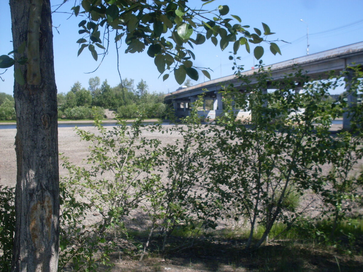 мост р Ингода