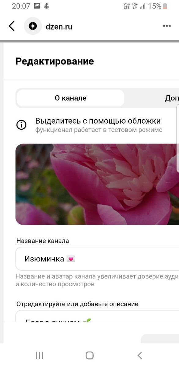 Написано, что функционал работает в тестовом режиме,  тут выбирала обложку.
