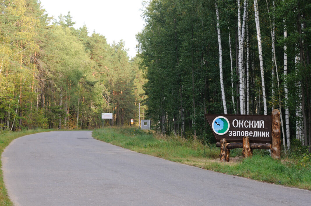    Фото пресс-службы Окского заповедника