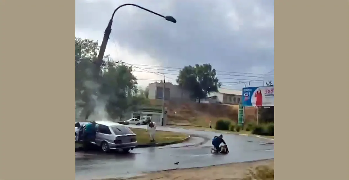 Что случилось 24 июня. Птица врезалась в столб