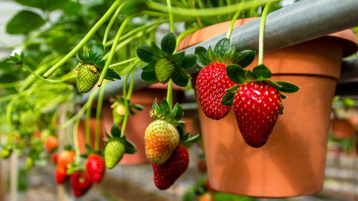   LunarVogel/Shutterstock.com