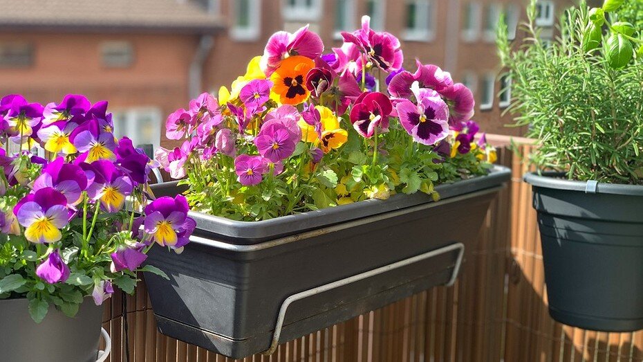 ShutterStock/Fotodom.ru 