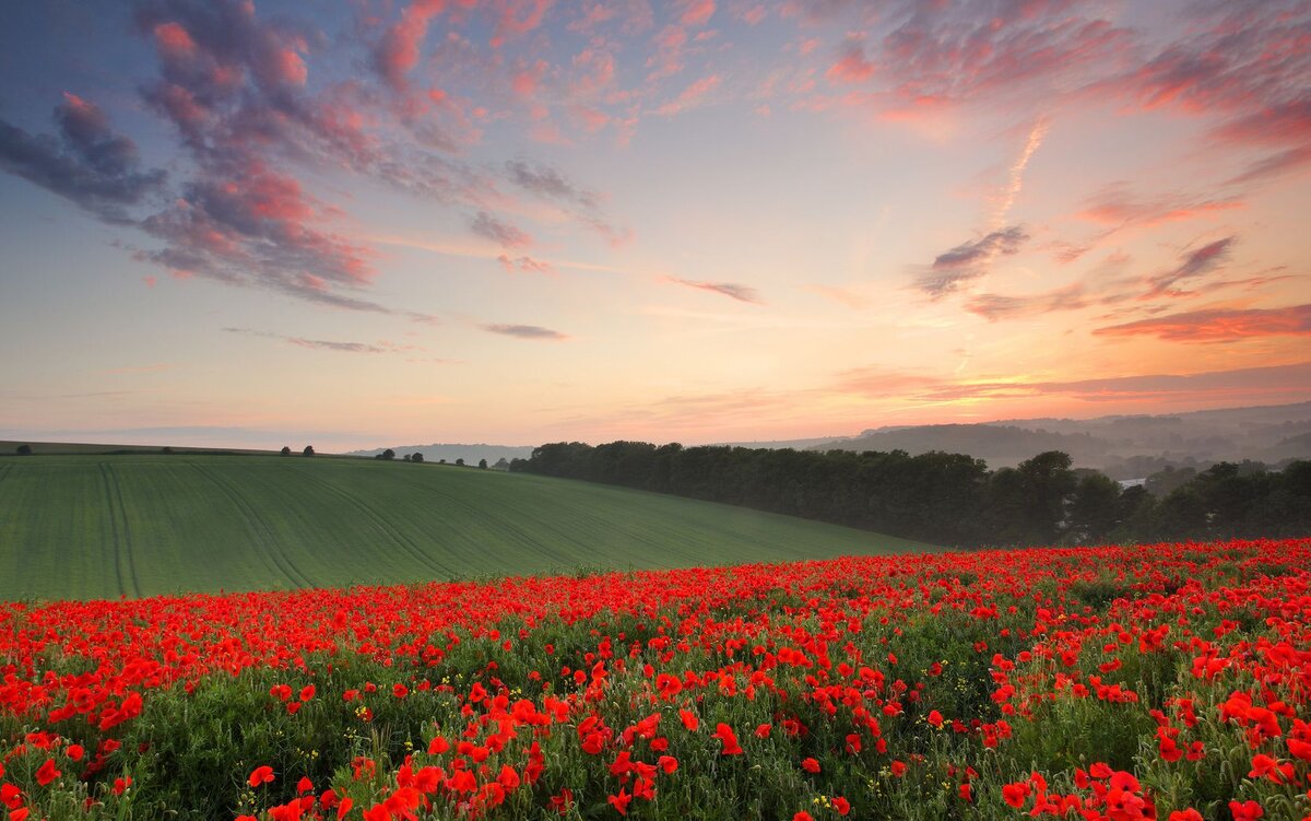 Астрологический прогноз на ИЮЛЬ 2023 года для всех Знаков Зодиака. 