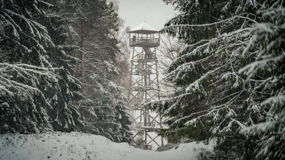 Картинка из интернета