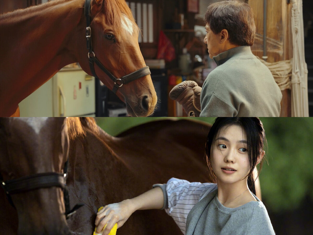 Конь жеребец джеки чан фильм. Кунг-фу жеребец фильм. Кунг-фу жеребец фильм. Джеки чан кунг фу жеребец. Джеки чан в фильме кунг фу жеребец.