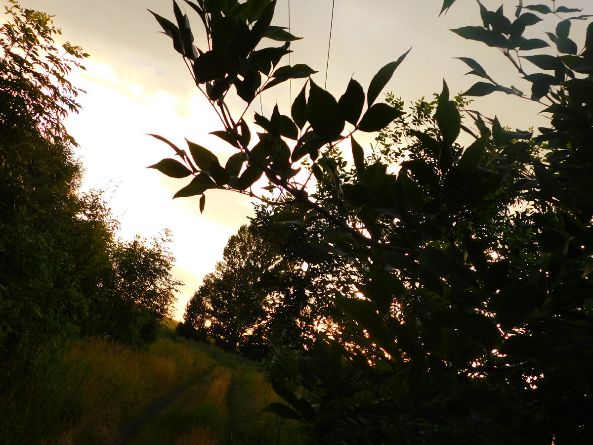 Ф автора канала