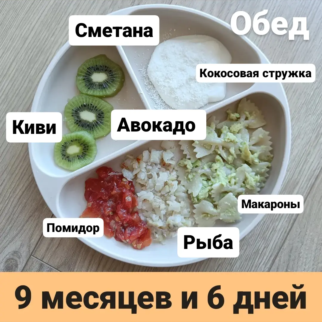 Пример тарелки в 9 месяцев 