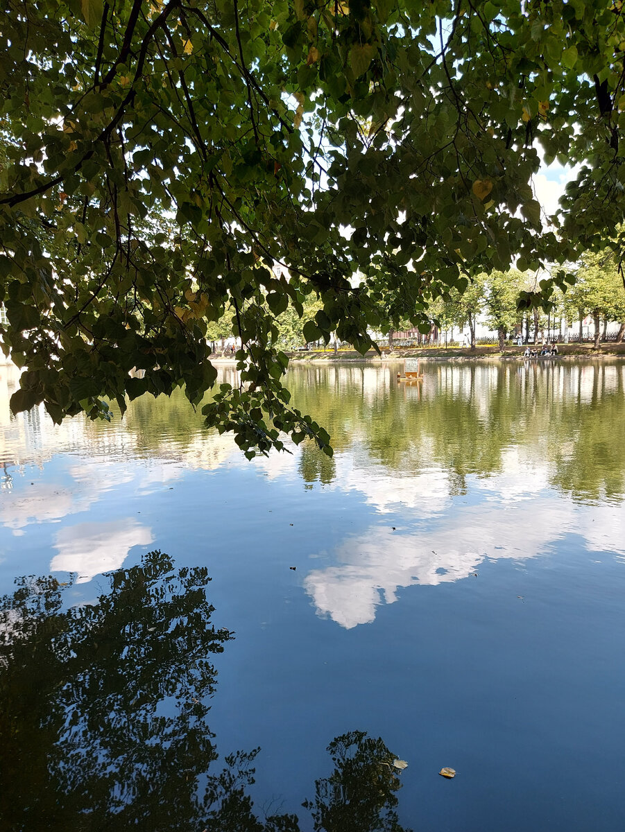 Красавец пруд