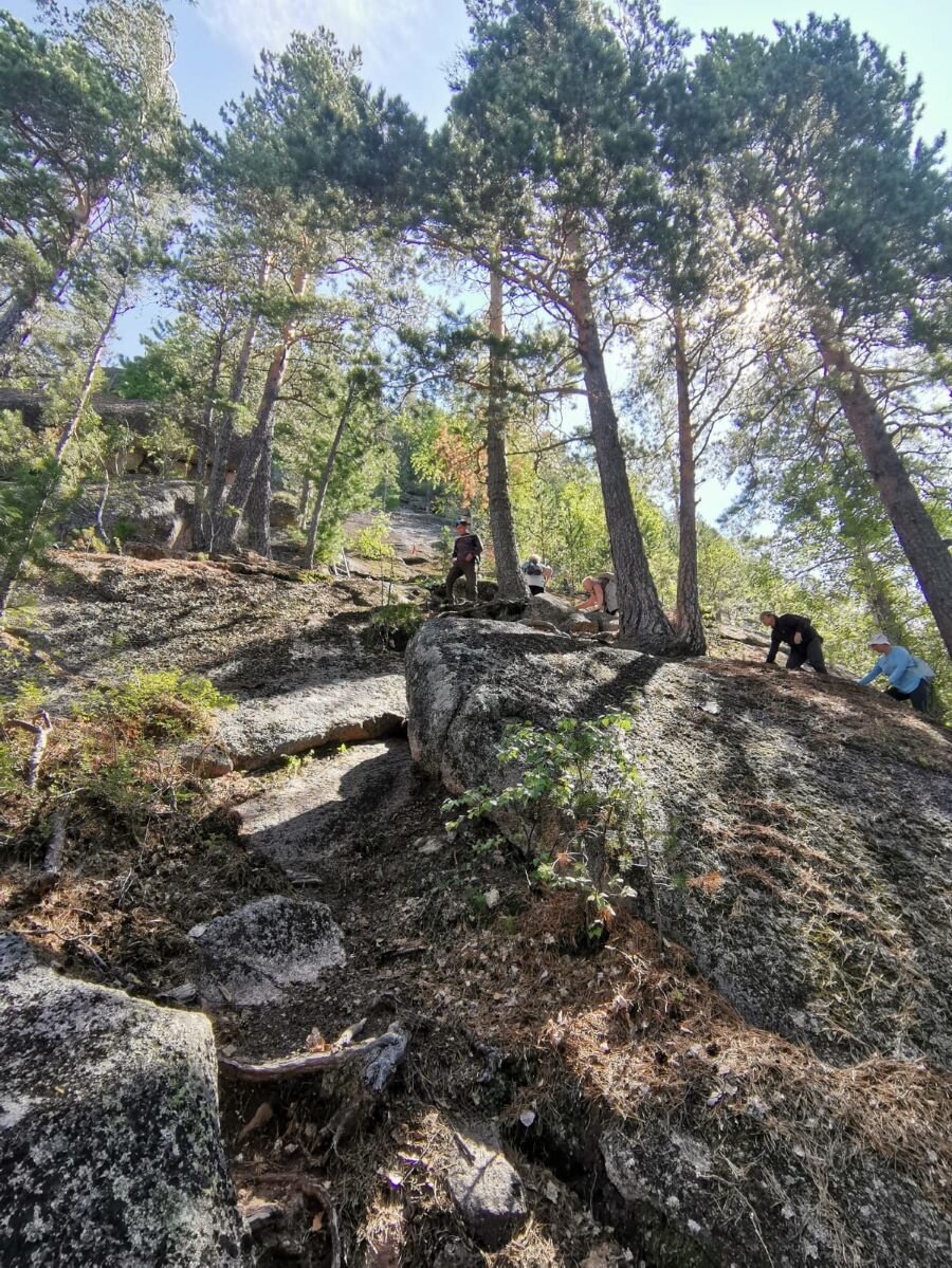 Штурмуем Салоп.