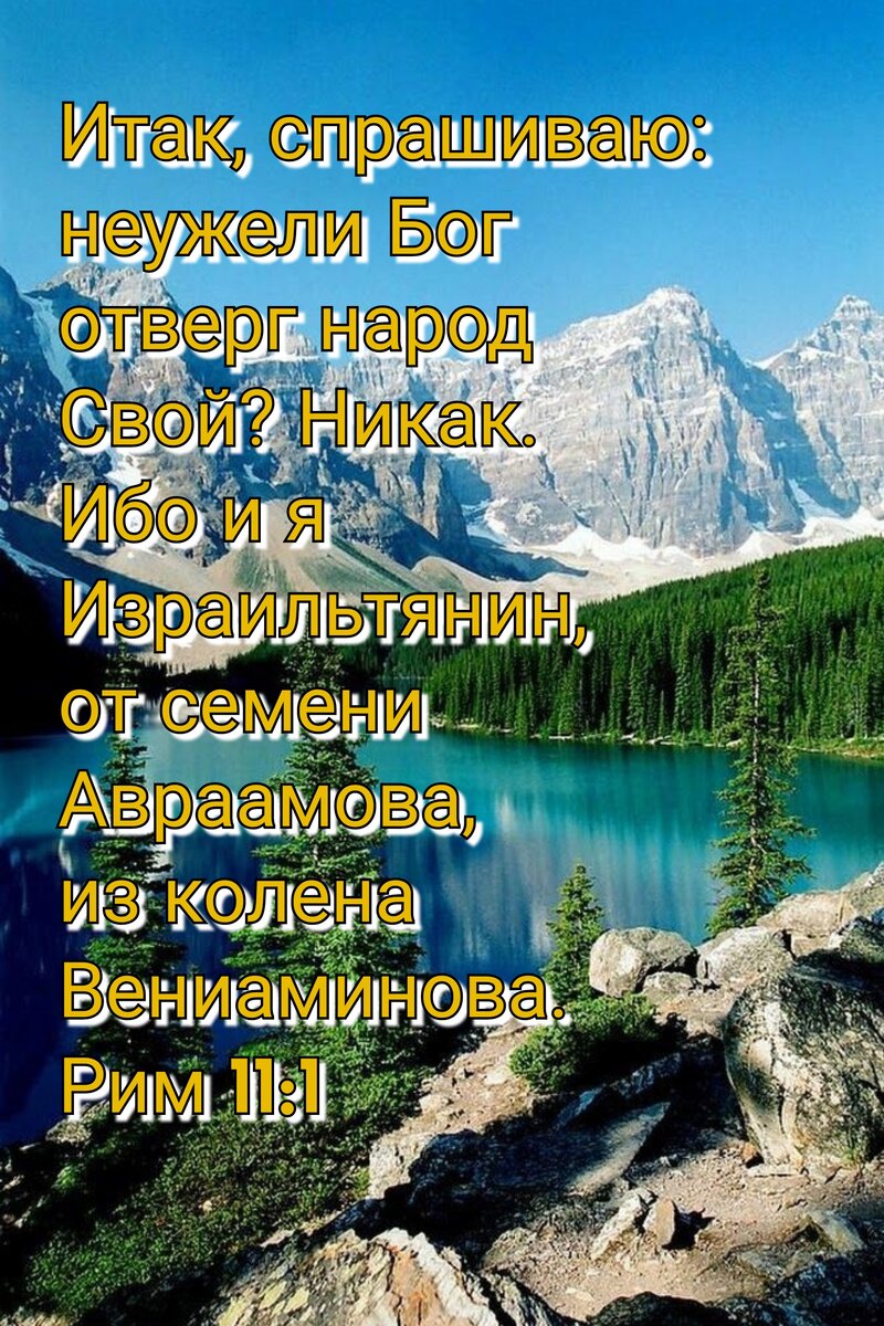 Ежедневное чтение Библии. 28 Июня. | Мир Библии | Дзен