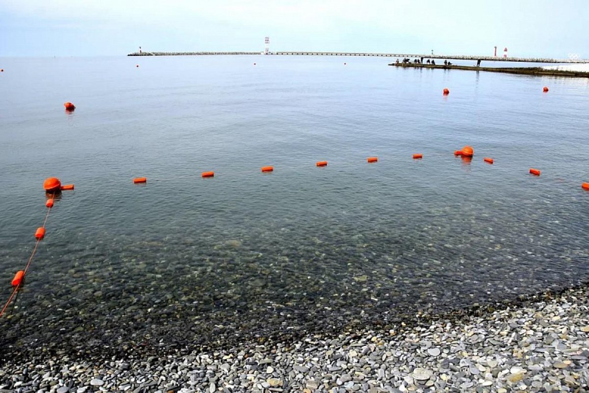    Роспотребнадзор проверил качество воды в Черном море в Сочи