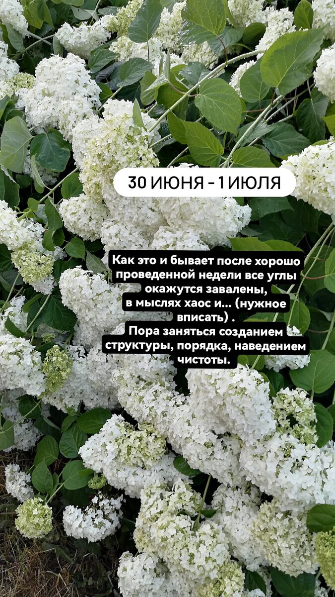 Светиться чистотой 