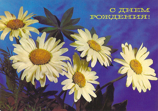 1989 г. Фото Б. Круцко