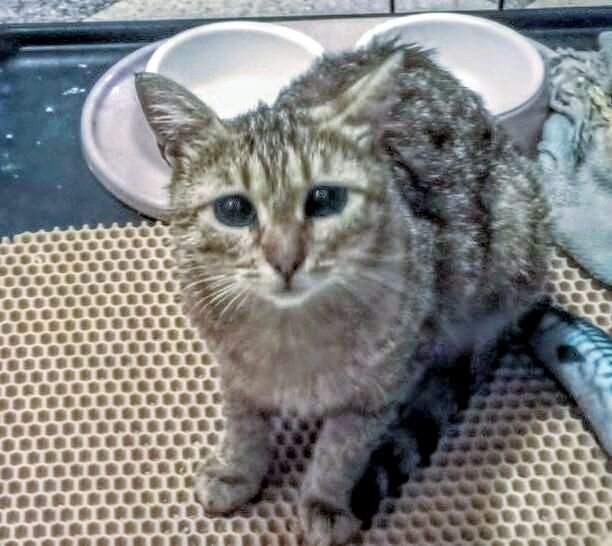 Миюша уже позирует