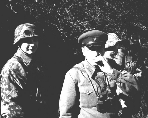 Носит иллюстративный характер/ Фото из свободных источников