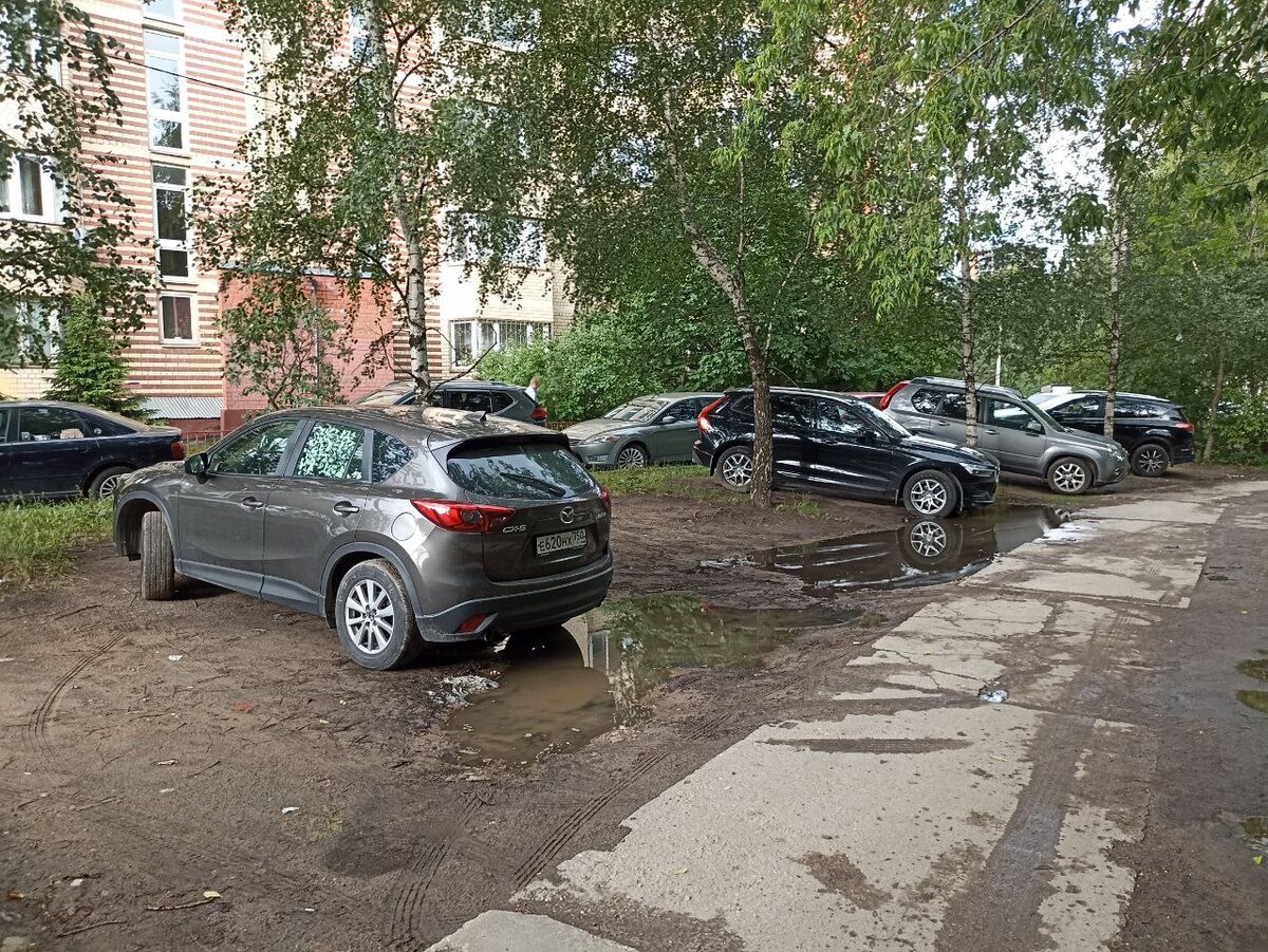 В Перловке открыли бесплатную парковку, но местные обходят её стороной |  Говорят Мытищи | Дзен