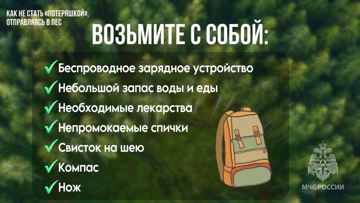 Безобидная прогулка может обернуться настоящей бедой | МЧС Ставрополья |  Дзен