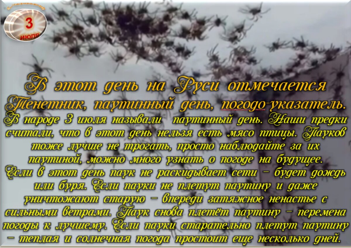 Встречаем новый день