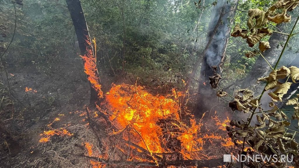 Карта лесных пожаров свердловская область