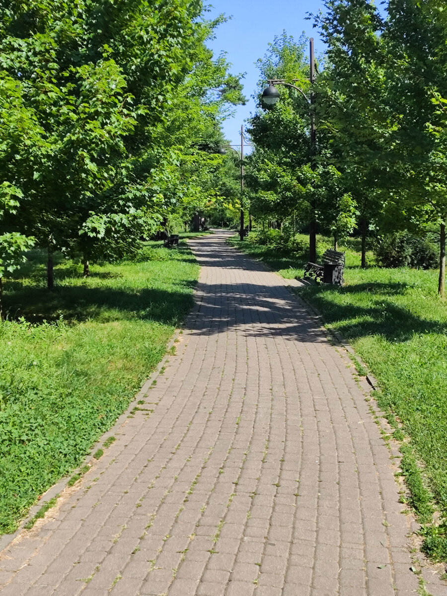 Утро у каждого своё! 