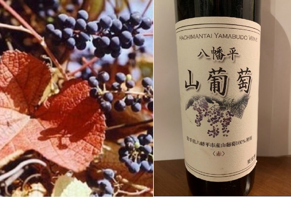 Из таких невзрачных ягод делают ценное лечебное вино. На фото бутылка от винодельни Ина в префектуре Ногано
