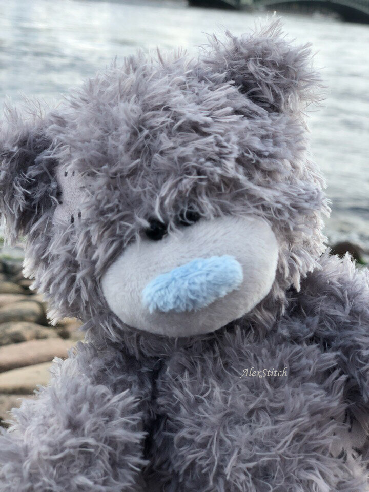 Мишка сшит по набору Miadolla MTY-0210 "Tatty Teddy"