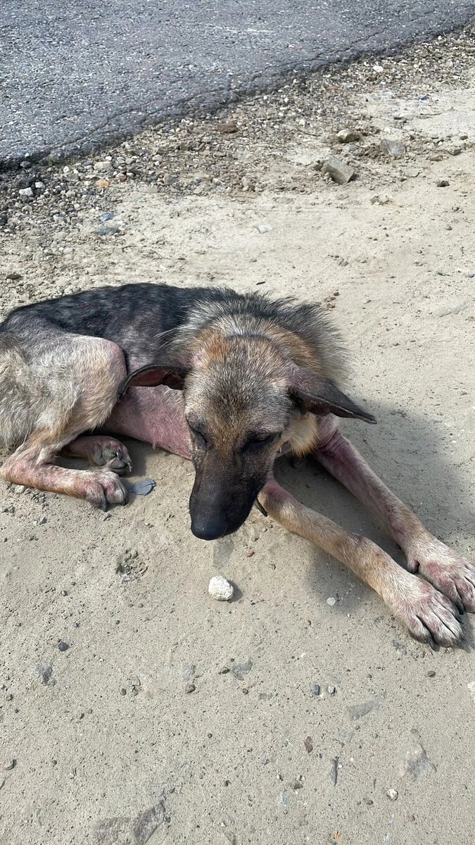 Герда. Первые дни на улице