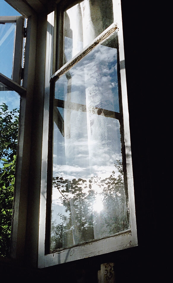 Проснувшись утром на даче, увидел такую картину. Фото автора.