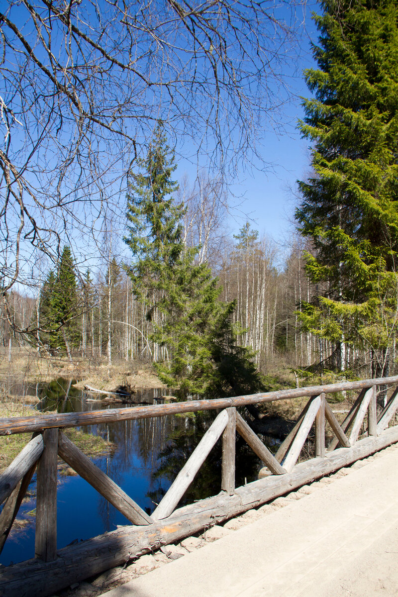 Листайте галерею ➔