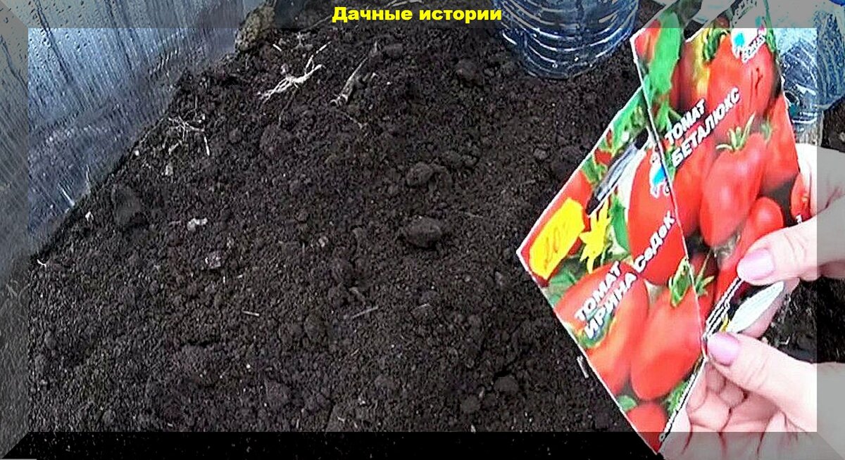 https://vk.com/photo-159774511_457260358
