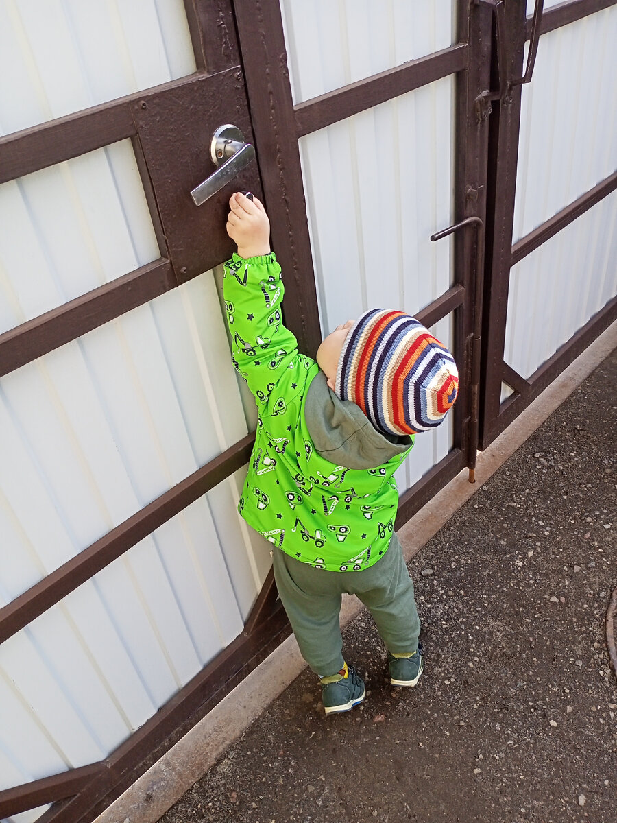 Фотография сделана автором канала