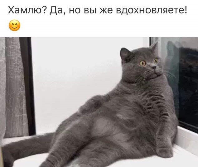 фото из интернета