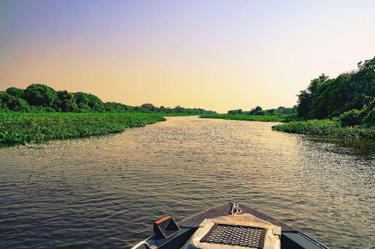   Фото: iStock/vbacarin