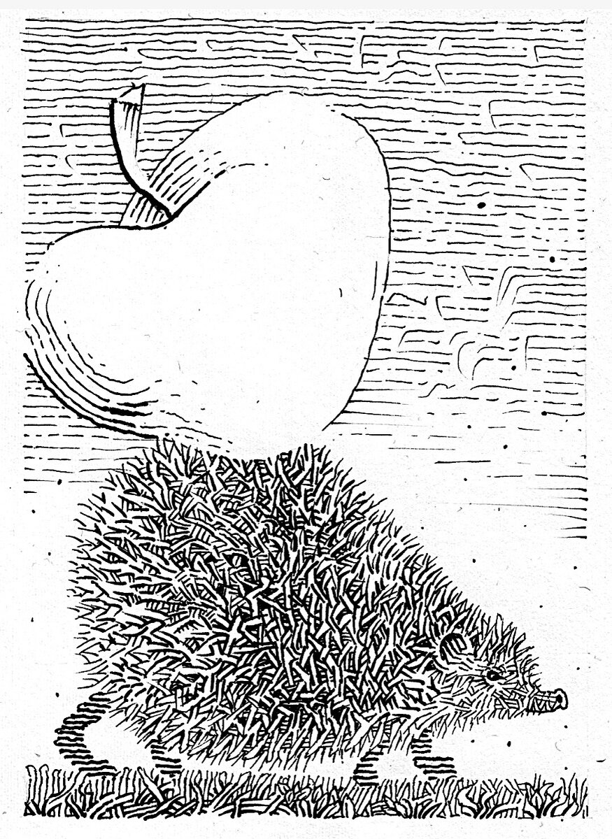 Иллюстрация Петра Перевезенцева