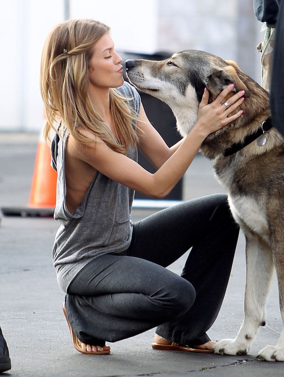 Картинка из интернета